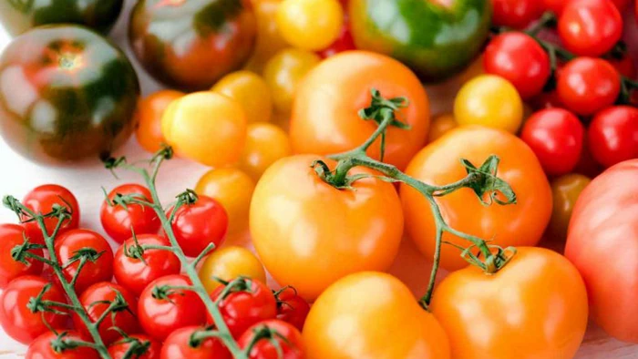 തക്കാളി