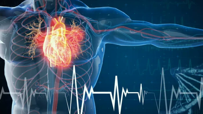 ത്രോംബോസിസ് തടയൽ